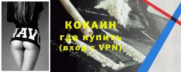амф Верхний Тагил