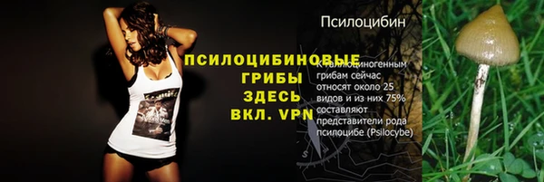 сатива Верхнеуральск