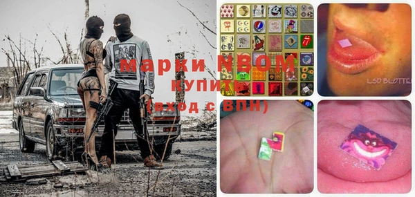 apvp Верея