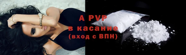 амф Верхний Тагил