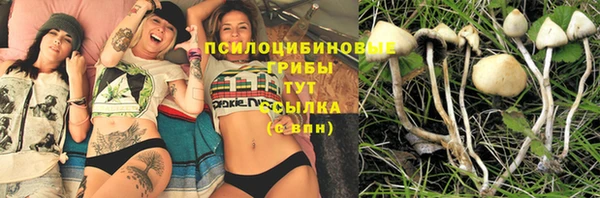 apvp Верея
