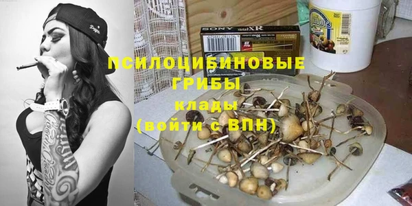 амф Верхний Тагил