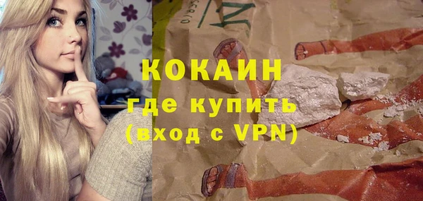 амф Верхний Тагил