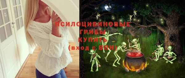 сатива Верхнеуральск