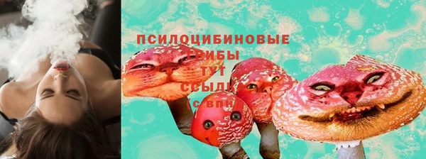 сатива Верхнеуральск