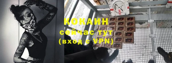 амф Верхний Тагил