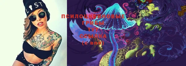 apvp Верея