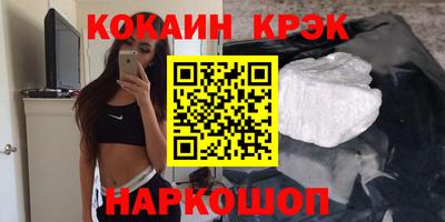 СК Гатчина