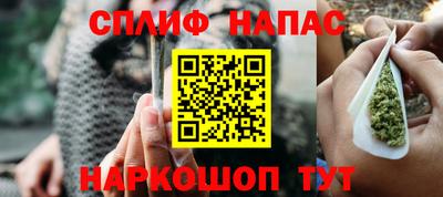 СК Гатчина