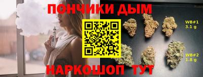 СК Гатчина