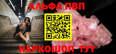 СК Гатчина