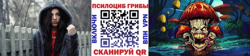Псилоцибиновые грибы прущие грибы  купить наркотик  Гуково 