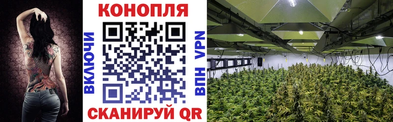 Канабис Ganja Гуково